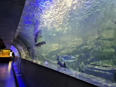 Oceanarium Międzyzdroje