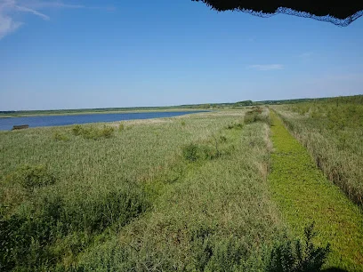Rezerwat przyrody Świdwie
