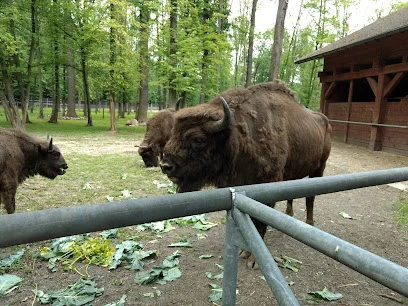 Zagroda Pokazowa Żubrów